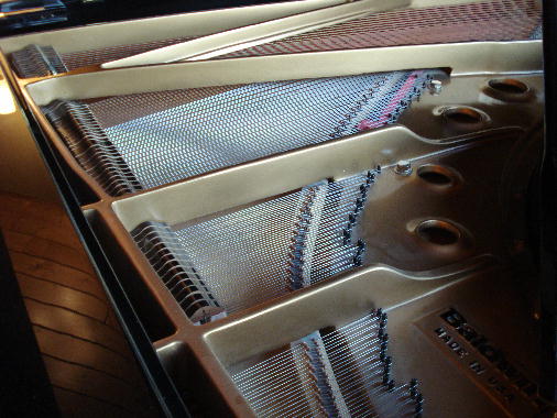 02 Board & brigdes in excellent condition 02 Board & brigdes in excellent condition
